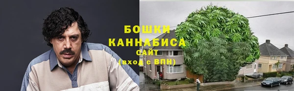 ешки Белокуриха