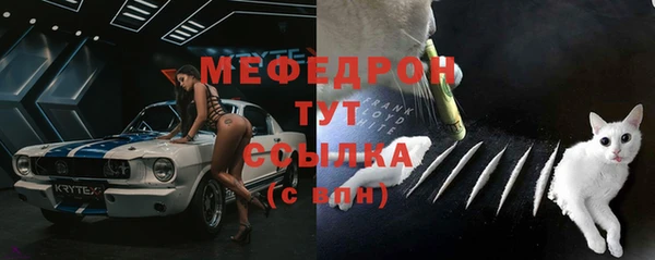 ешки Белокуриха