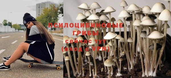 ешки Белокуриха