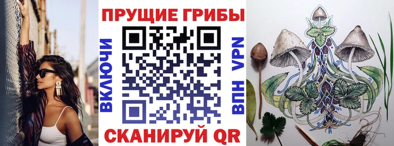 Купить закладки  Пролетарск  Псилоцибиновые грибы мицелий 
